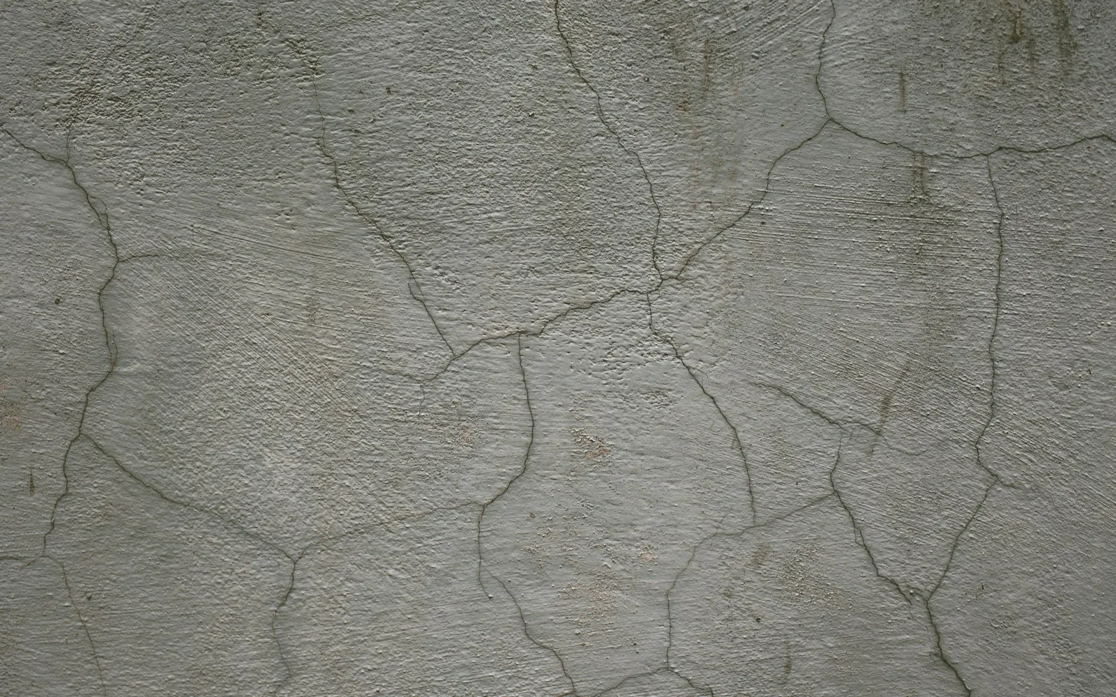 Crepe che attraversano l'intonaco grigio di un muro.