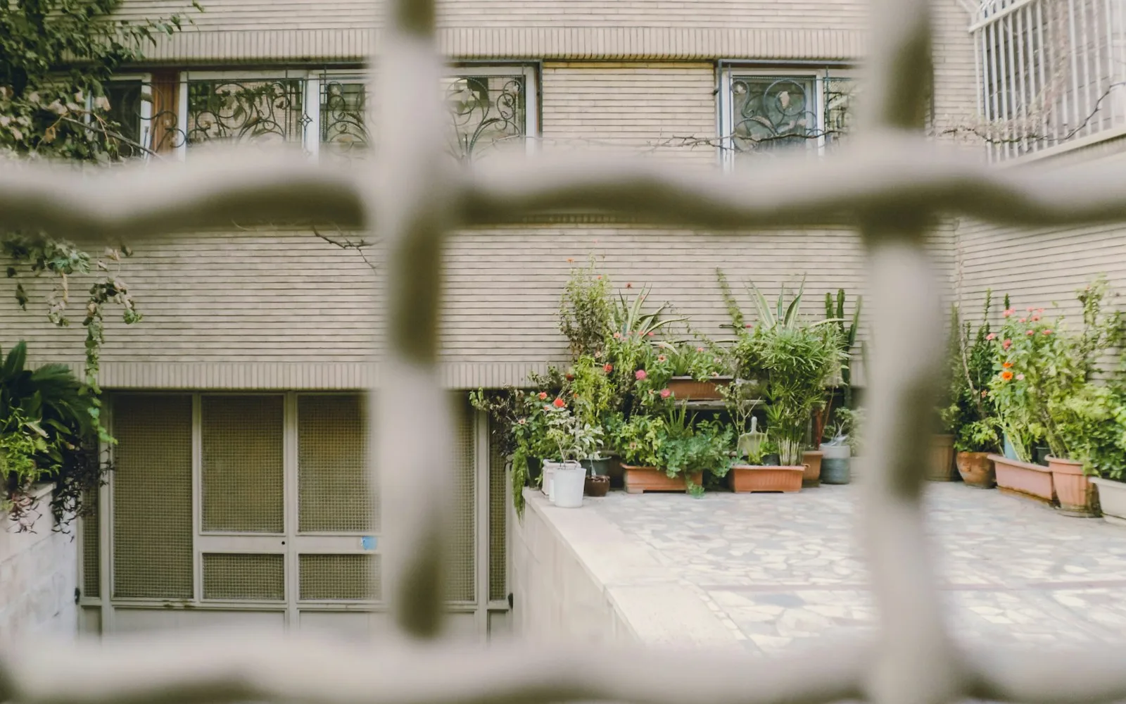 Cortile condominiale con vasi e piante visto attraverso una cancellata.