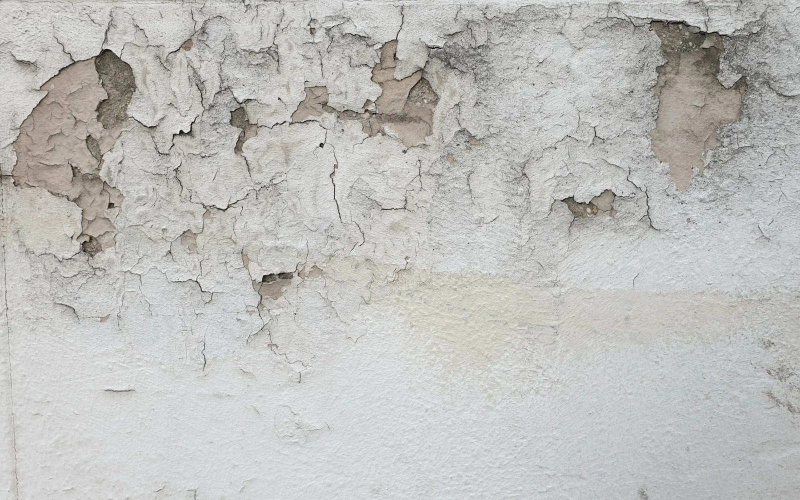 Intonaco scrostato e macchie di umidità alla base di un muro al piano terra.
